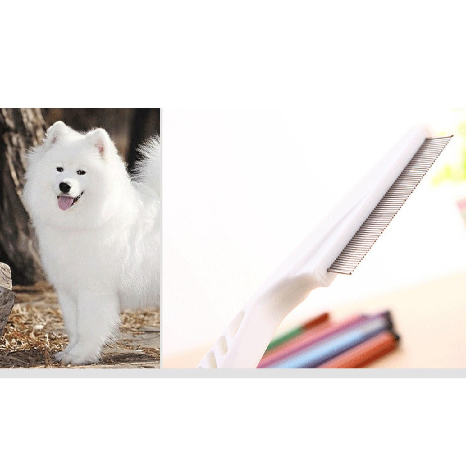 vlooienkam voor honden en katten witte hond vlooienkam close up